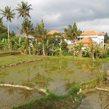 Villa Lanus Ubud  Ngoại thất bức ảnh