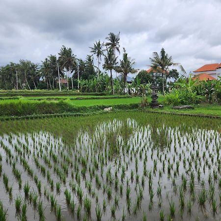 Villa Lanus Ubud  Ngoại thất bức ảnh