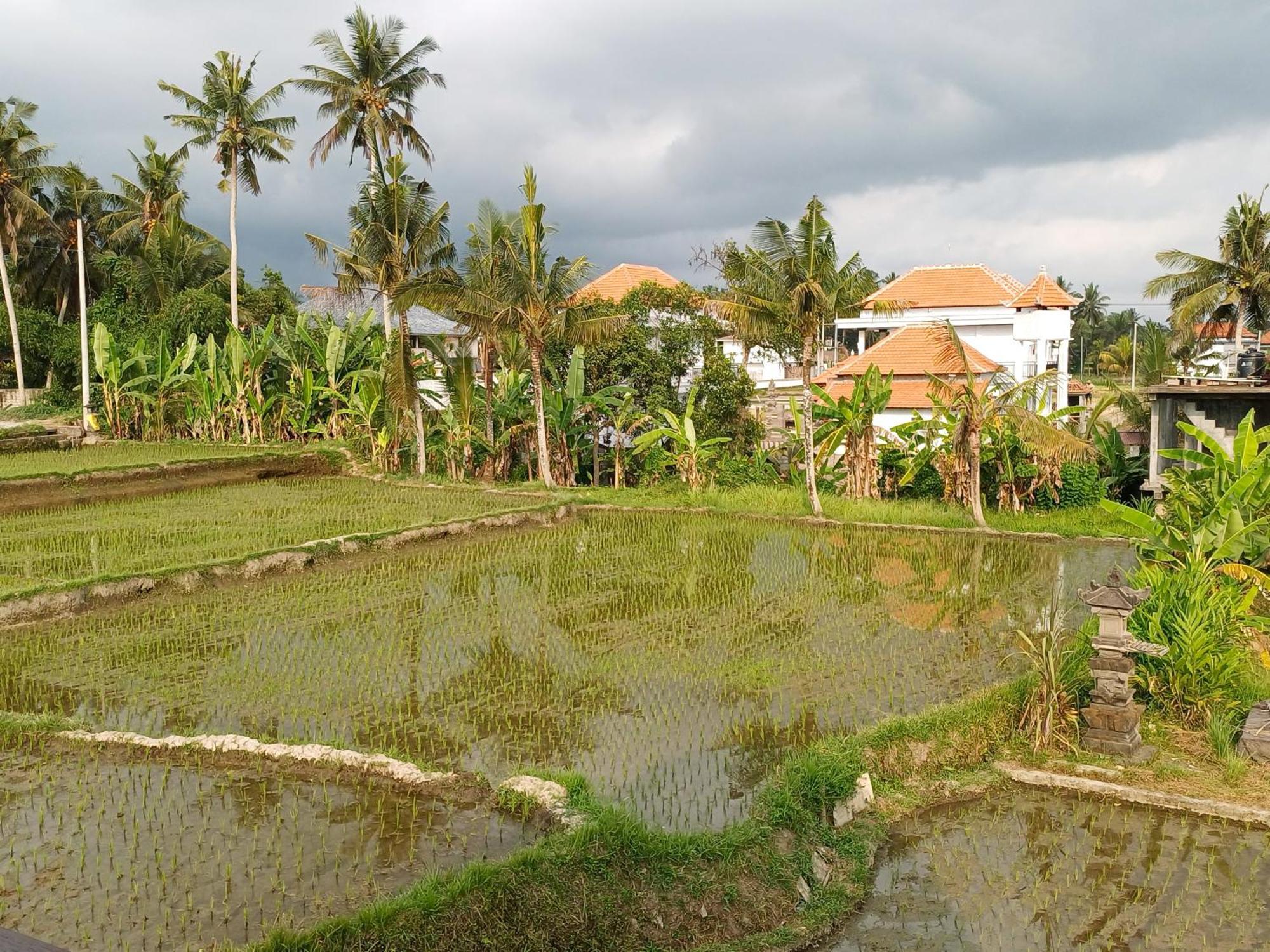 Villa Lanus Ubud  Ngoại thất bức ảnh